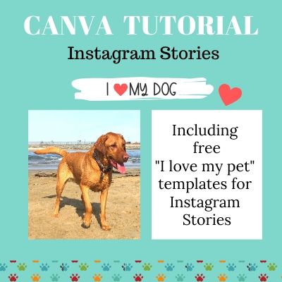 Graphic with Canva Tutorial on top, Free I love my pet templates, and red fox lab. Canva for Instagram Stories.